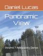 Panoramic View - Preview