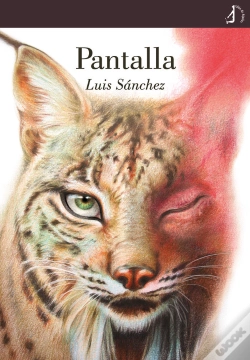 Capa do artigo Pantalla