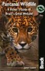 Pantanal Wildlife - Preview