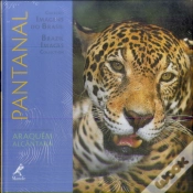 Capa do artigo Pantanal
