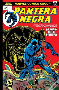 Capa do artigo Pantera Negra 01