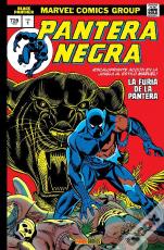 Pantera Negra 01