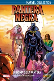 Capa do artigo Pantera Negra