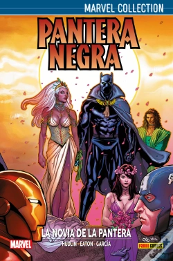 Capa do artigo Pantera Negra