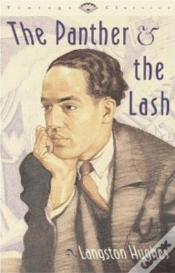 Capa do artigo Panther And The Lash