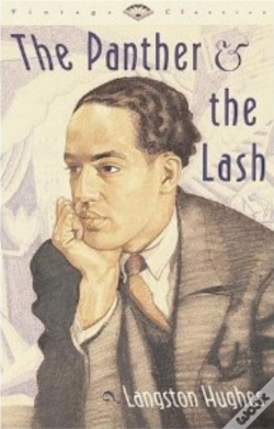 Capa do artigo Panther And The Lash