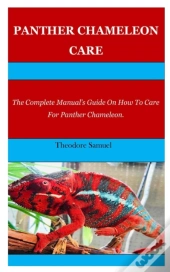 Panther Chameleon Care