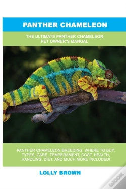 Capa do artigo Panther Chameleon