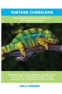 Panther Chameleon - Preview