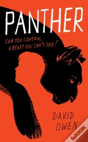 Capa do artigo Panther