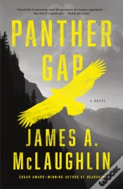 Capa do artigo Panther Gap