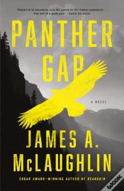Capa do artigo Panther Gap
