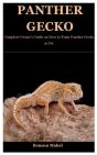 Panther Gecko - Preview