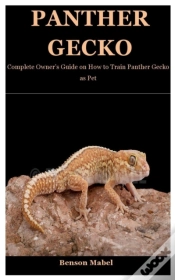 Capa do artigo Panther Gecko