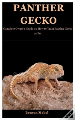 Capa do artigo Panther Gecko
