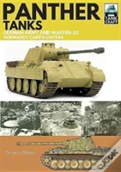 Capa do artigo Panther Tanks