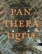 Panthera Tigris - Preview