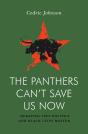 Panthers Can'T Save Us Now - Preview