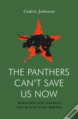 Capa do artigo Panthers Can'T Save Us Now