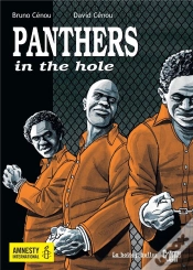 Capa do artigo Panthers In The Hole