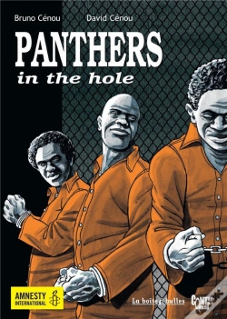 Capa do artigo Panthers In The Hole
