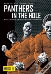 Capa do artigo Panthers In The Hole