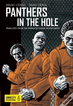 Capa do artigo Panthers In The Hole