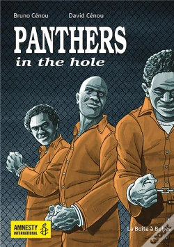 Capa do artigo Panthers In The Hole