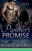 Panther'S Promise