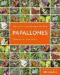 Papallones - Preview