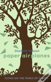 Capa do artigo Paper Airplanes