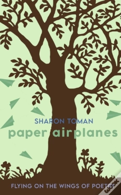 Capa do artigo Paper Airplanes