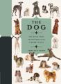Paperscapes: The Dog - Preview