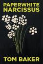 Paperwhite Narcissus - Preview