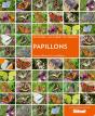 Papillons - Preview