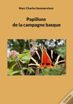 Capa do artigo Papillons De Campagne Basque