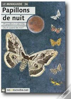 Capa do artigo Papillons De Nuit