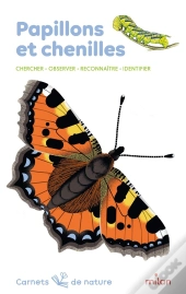 Papillons Et Chenilles : Chercher, Observer, Reconnaître, Identifier