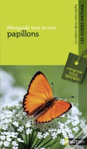 Capa do artigo Papillons