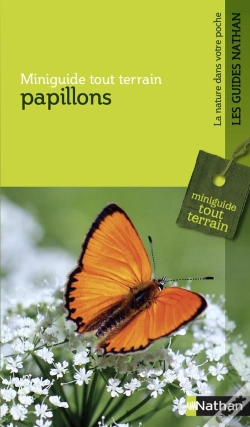 Capa do artigo Papillons