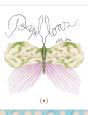 Papillons ! - Preview