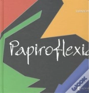 Capa do artigo Papiroflexia