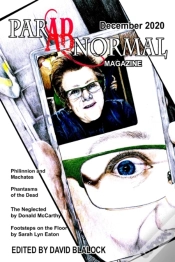 Capa do artigo Parabnormal Magazine December 2020