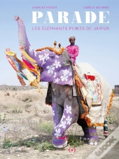 Parade, Les Éléphants Peints De Jaipur