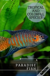 Capa do artigo Paradise Fish