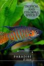 Paradise Fish - Preview