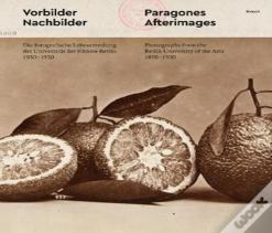Paragons And Afterimages