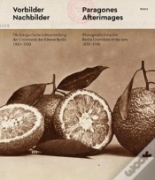 Capa do artigo Paragons And Afterimages