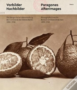 Capa do artigo Paragons And Afterimages