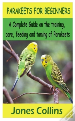Capa do artigo Parakeets For Beginners